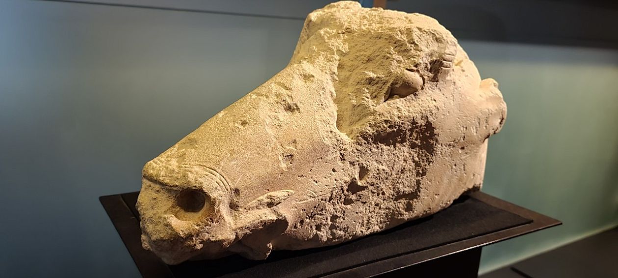 Archäologisches und Historisches Museum von Elche (MAHE) 