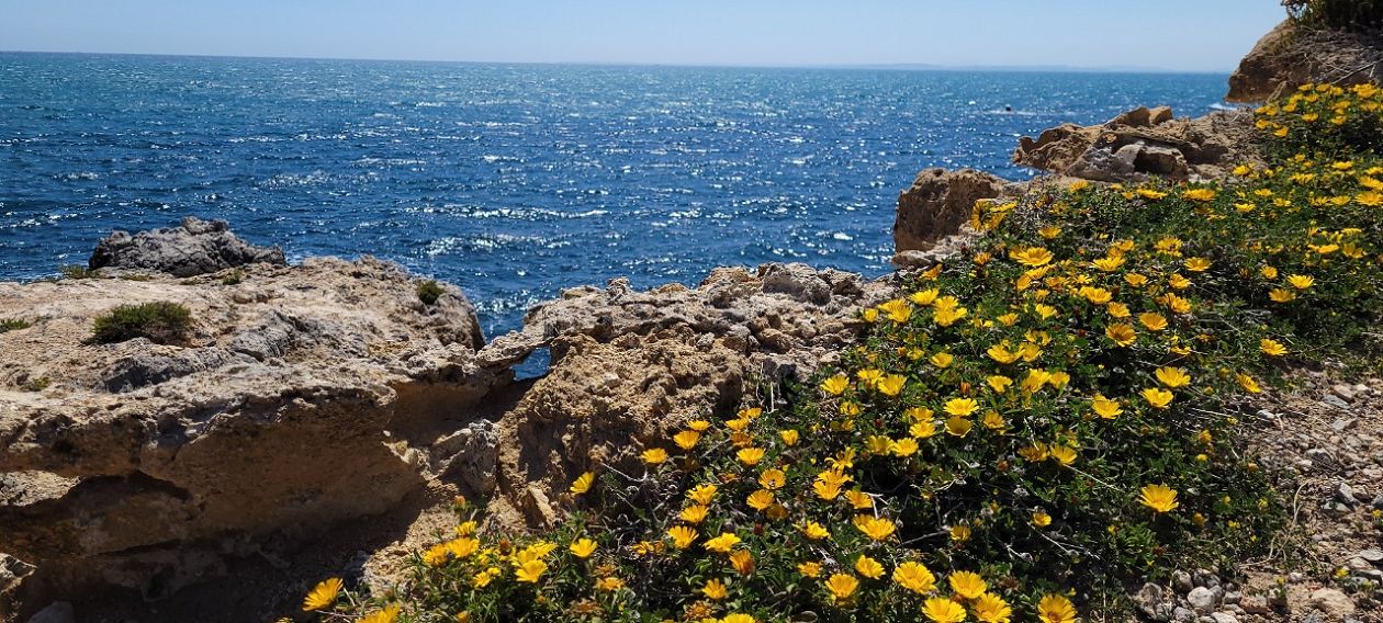 Insel Tabarca