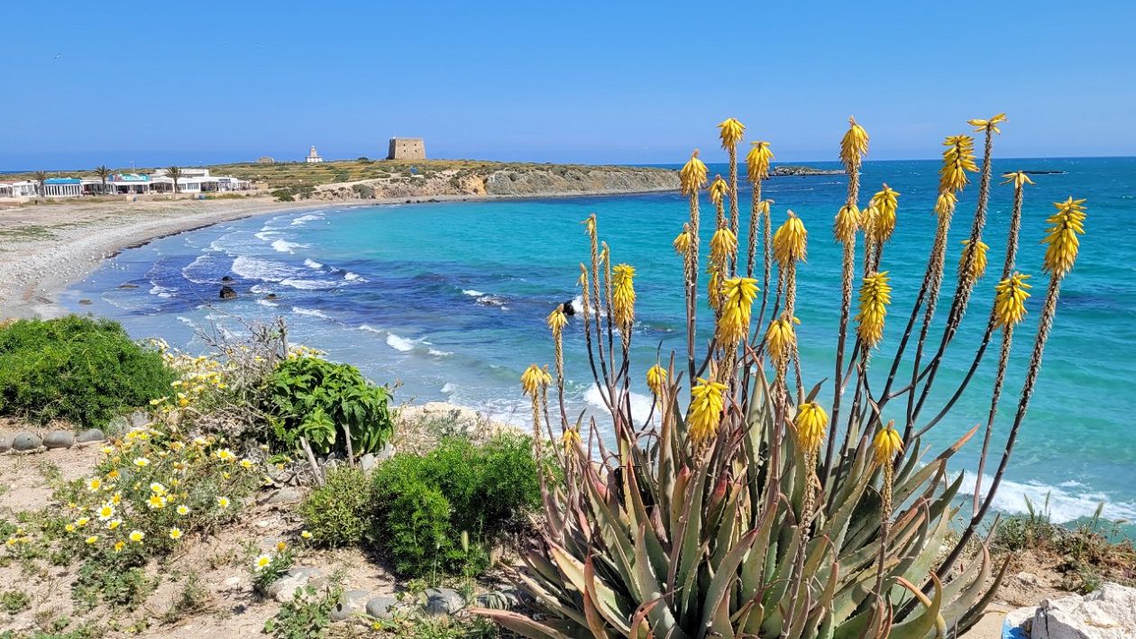 Insel Tabarca