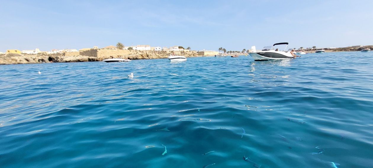 Insel Tabarca