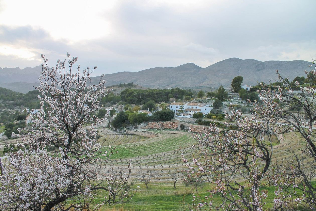 Jalón-Tal