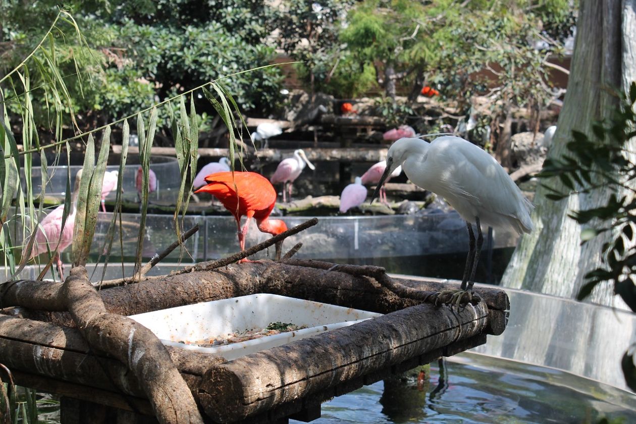 Ozeaneum-Aquarium - Valencia