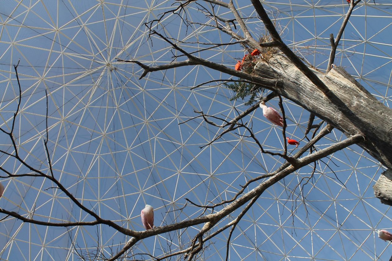 Ozeaneum-Aquarium - Valencia
