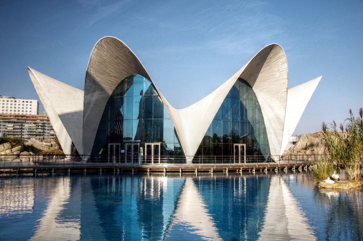 Ozeaneum-Aquarium - Valencia