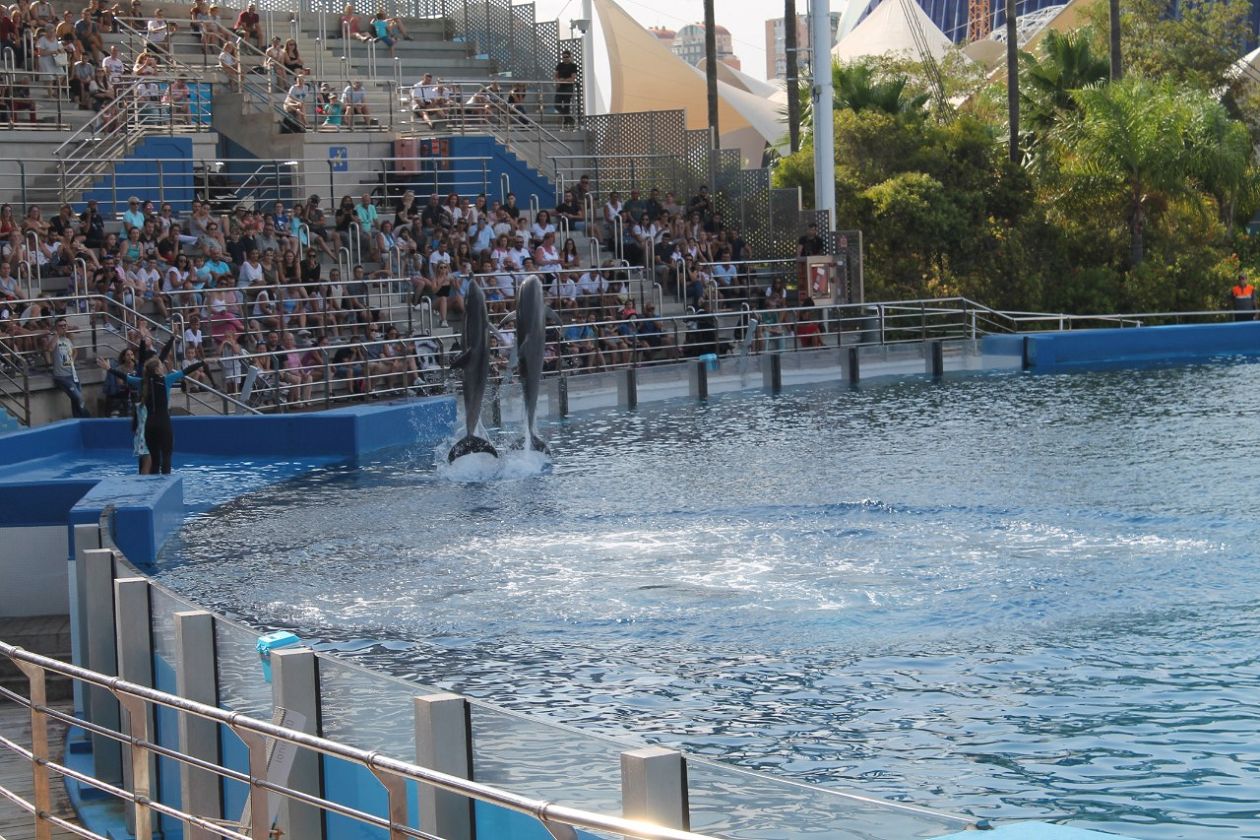 Ozeaneum-Aquarium - Valencia