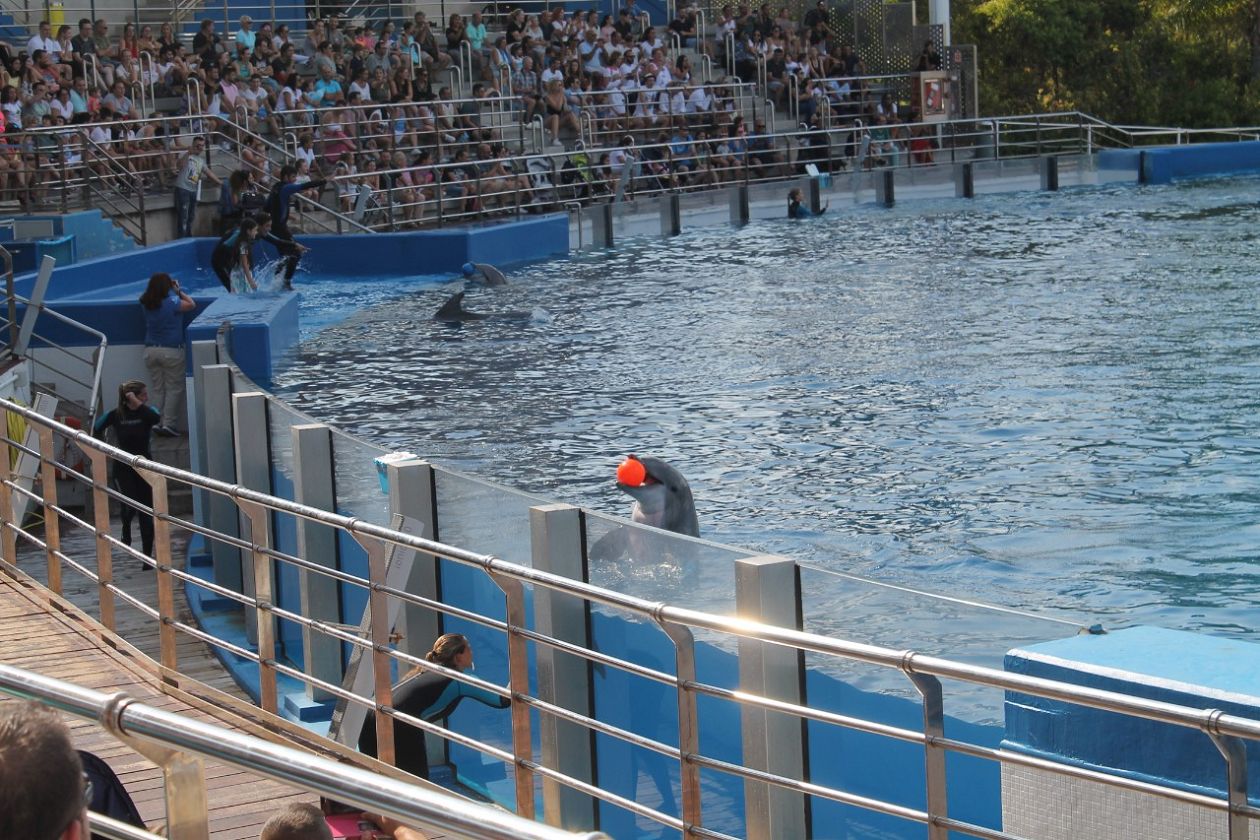 Ozeaneum-Aquarium - Valencia