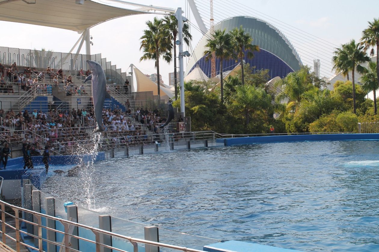 Ozeaneum-Aquarium - Valencia