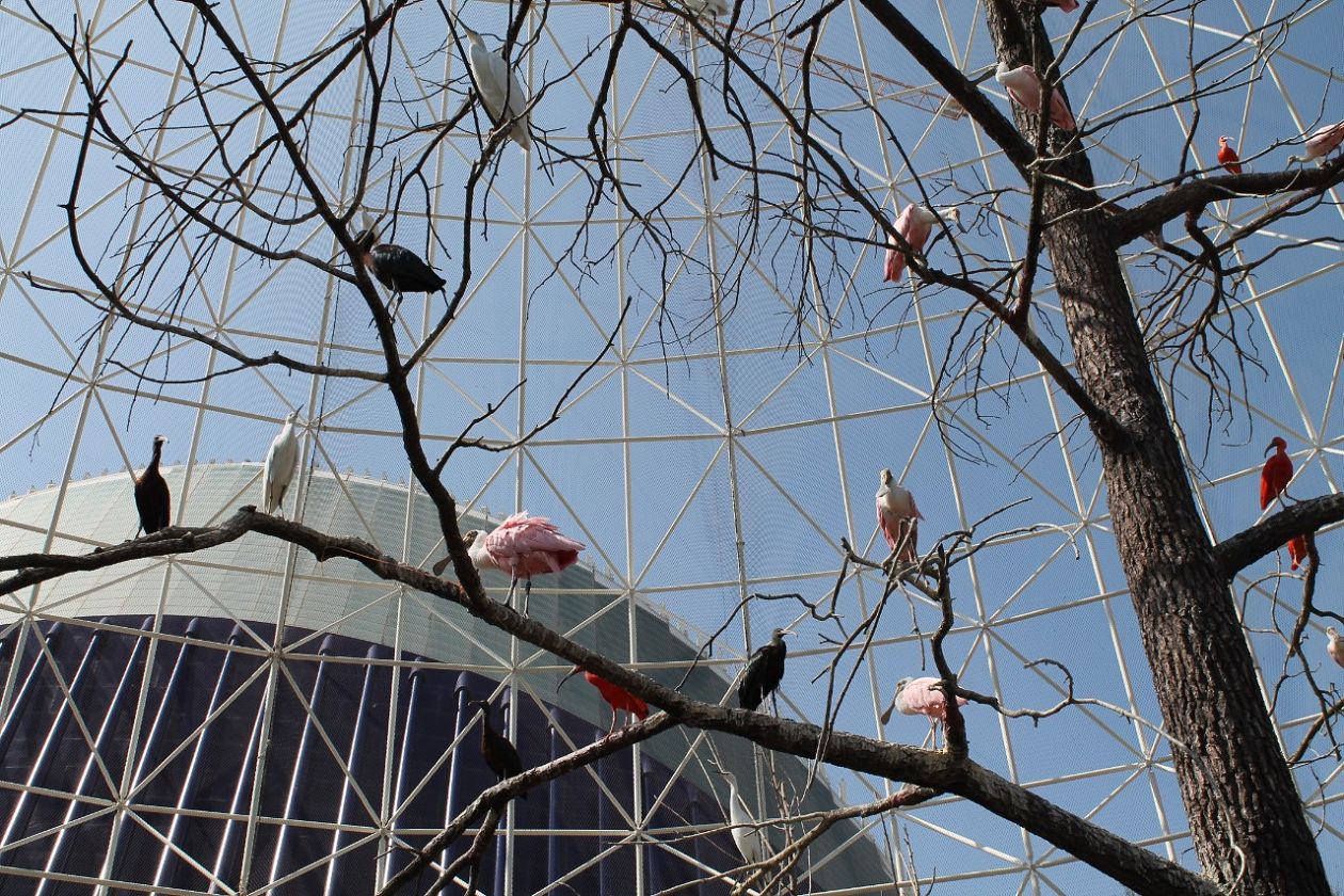 Ozeaneum-Aquarium - Valencia