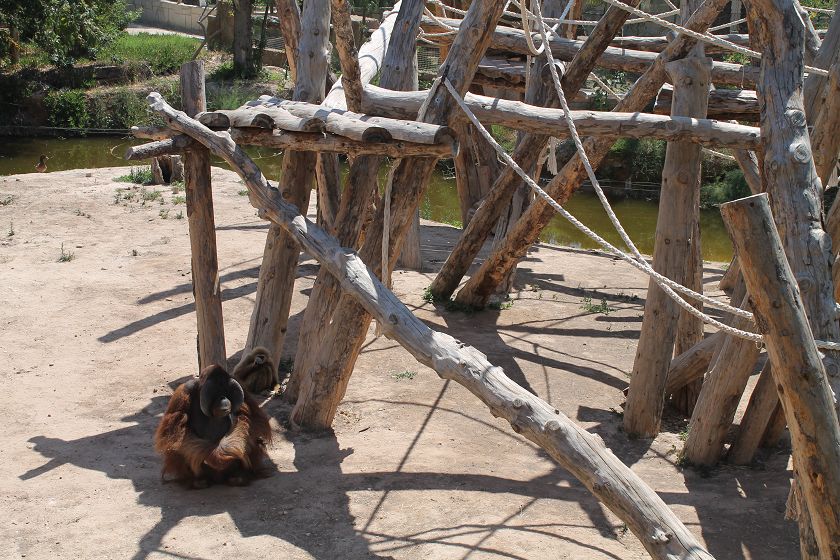 Rio Safari & Wasserpark
