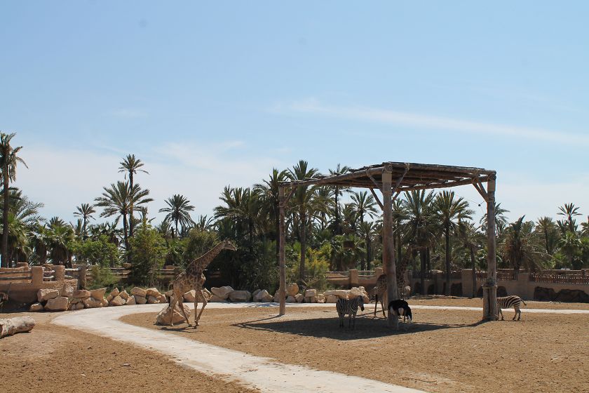 Rio Safari & Wasserpark