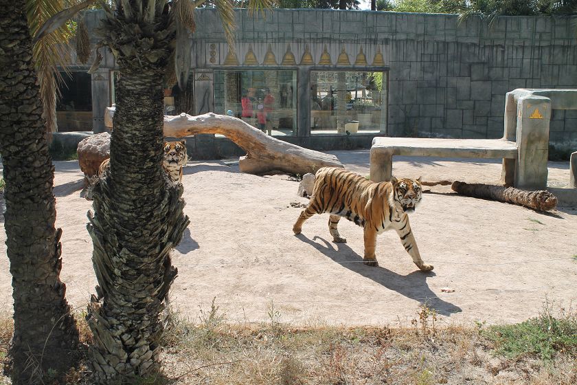 Rio Safari & Wasserpark