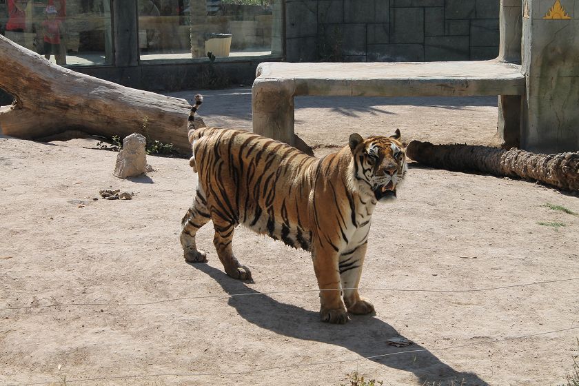 Rio Safari & Wasserpark