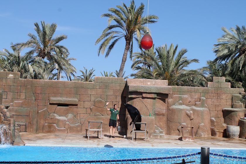 Rio Safari & Wasserpark
