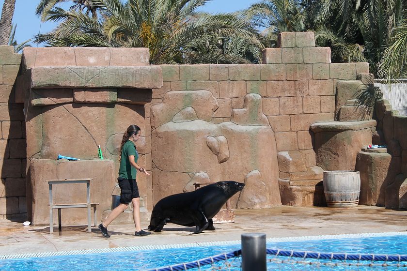 Rio Safari & Wasserpark