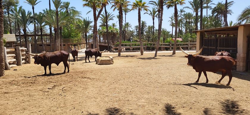 Rio Safari & Wasserpark