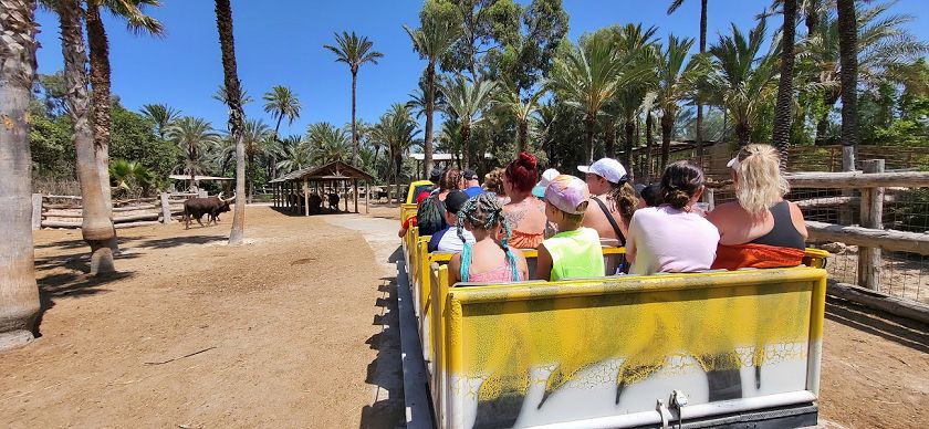Rio Safari & Wasserpark