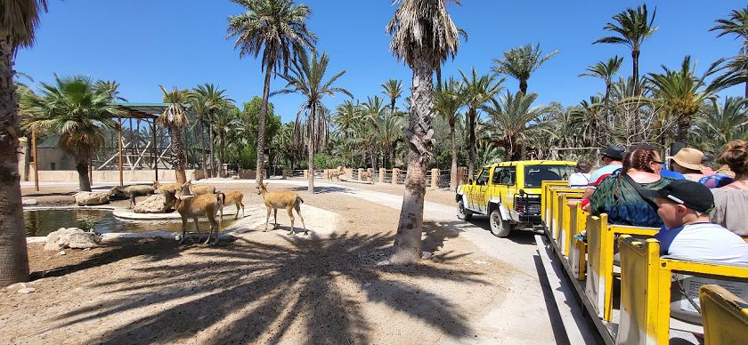 Rio Safari & Wasserpark