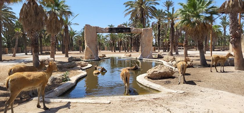 Rio Safari & Wasserpark