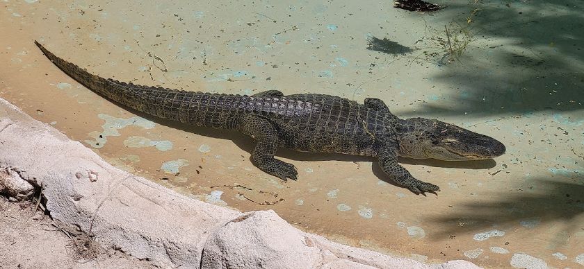 Rio Safari & Wasserpark