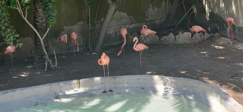Rio Safari & Wasserpark