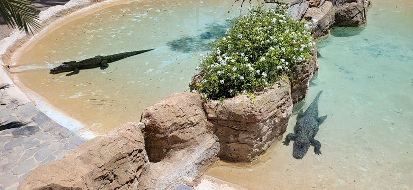 Rio Safari & Wasserpark