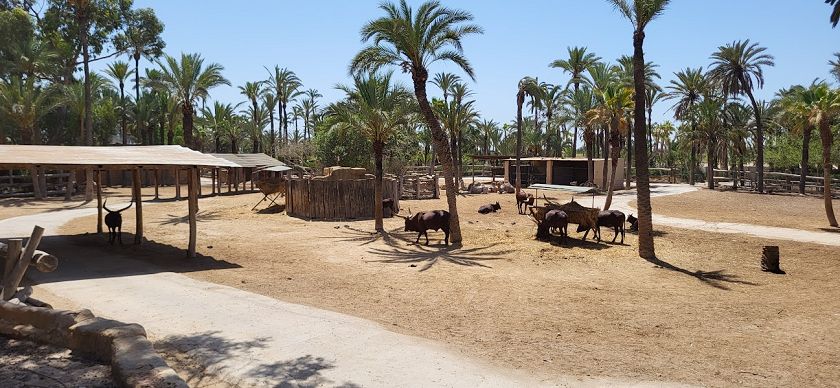 Rio Safari & Wasserpark