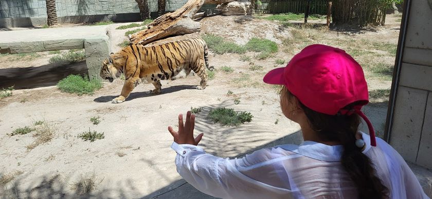 Rio Safari & Wasserpark